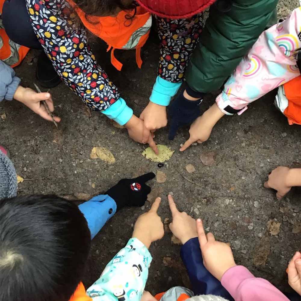 kids pointing at a bug on the ground