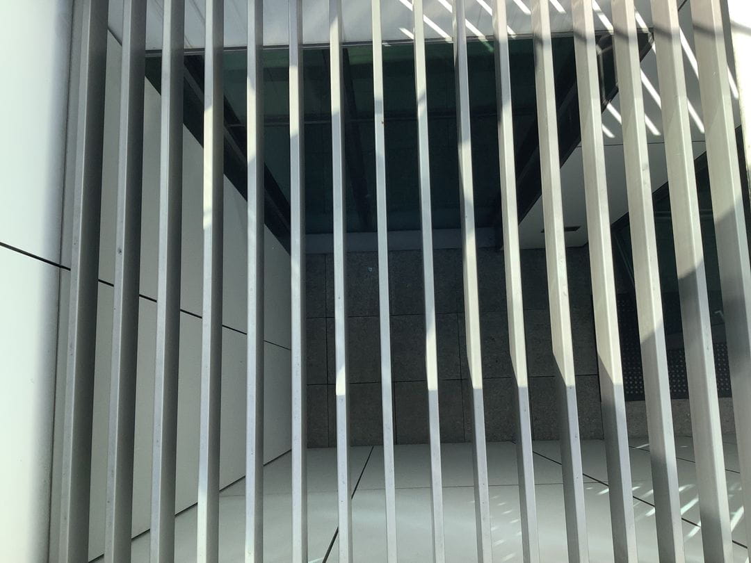 Year 5 and 6 iPad Photography Club - Year 5 and 6 iPad Photography Club