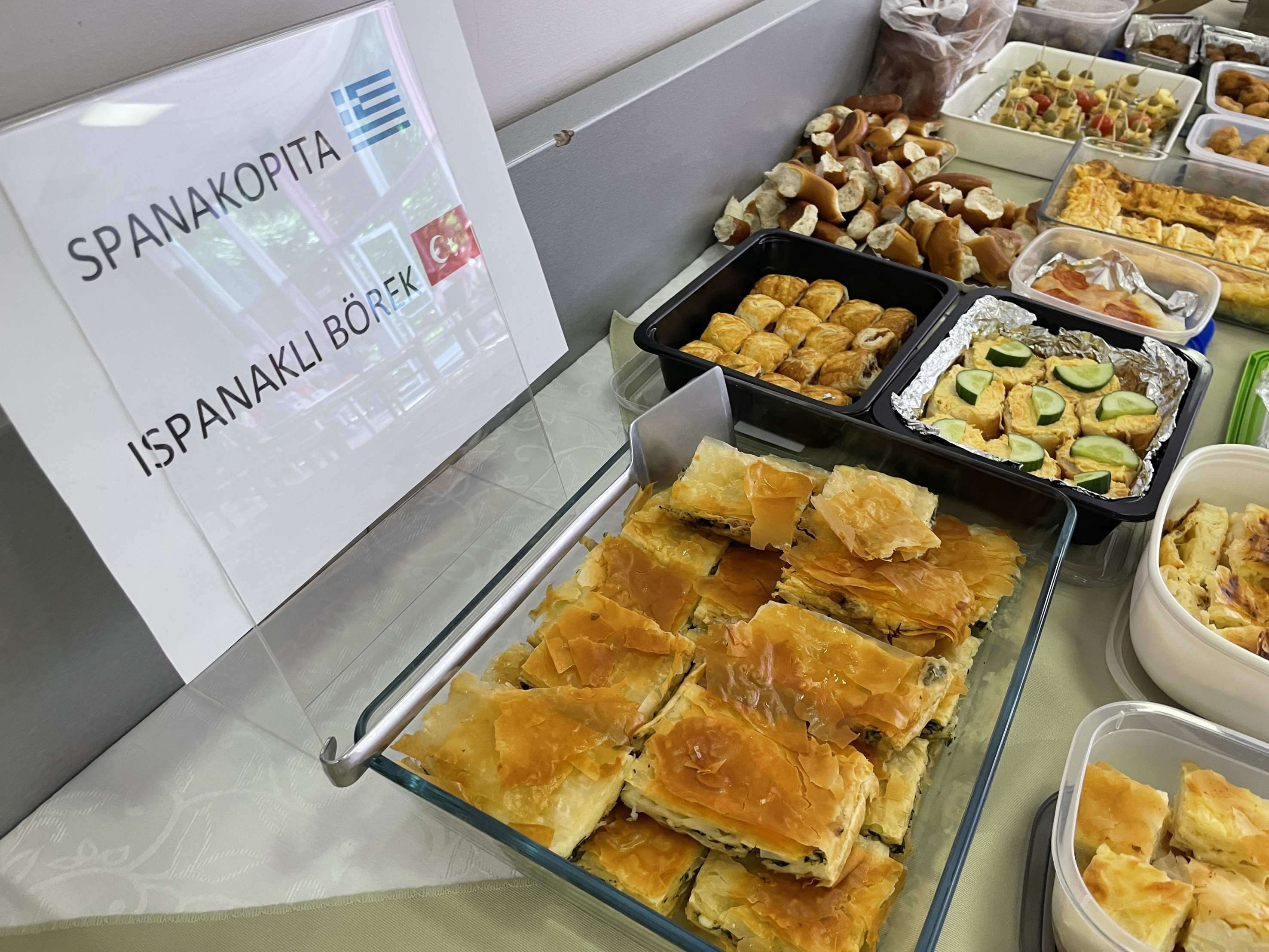 An Aliens Guide to Europe - An Aliens Guide to Europe