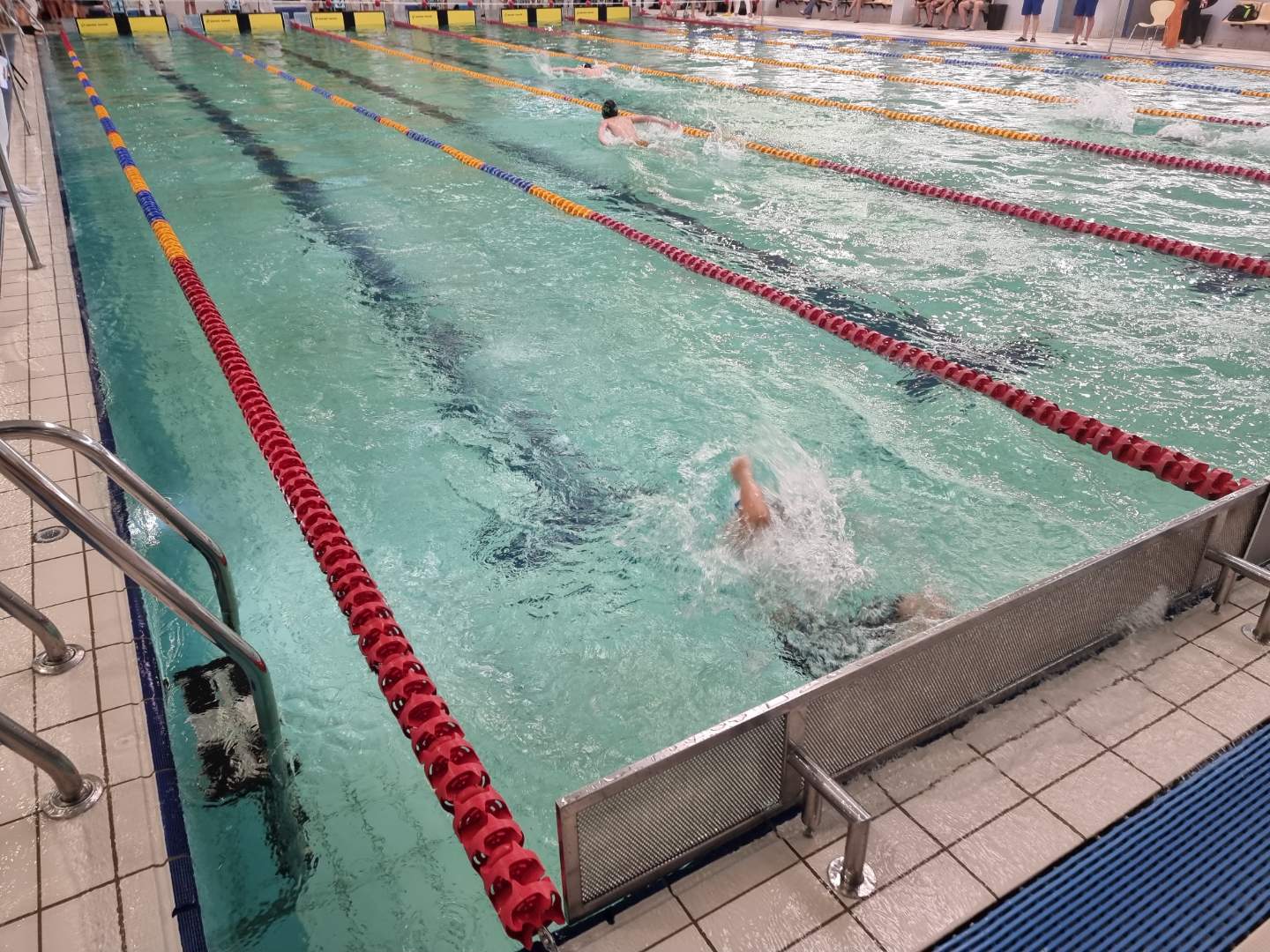 Hidden Talent - April 2022 | The British School Warsaw - Hidden Talent