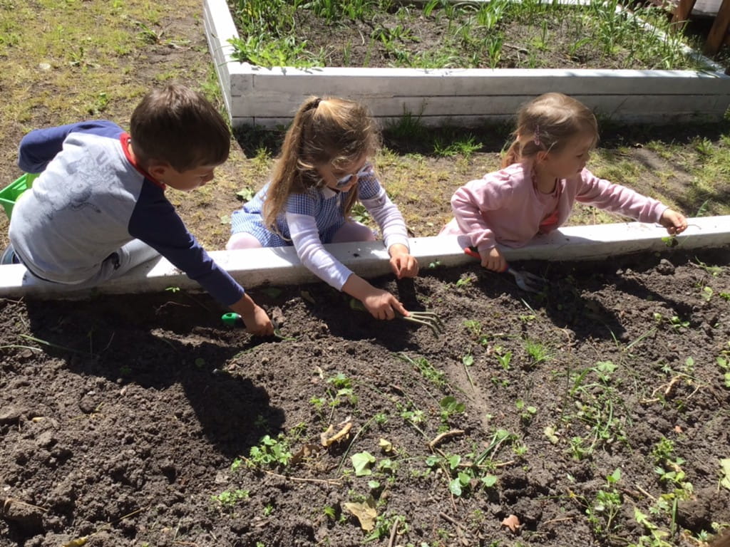 Growing Things - Growing Things