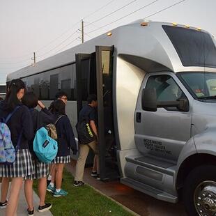 Bus
