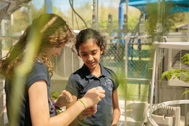 Copy of Village'18_168 (1)