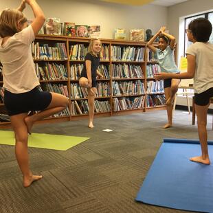 Copy of IMG_0461_H42