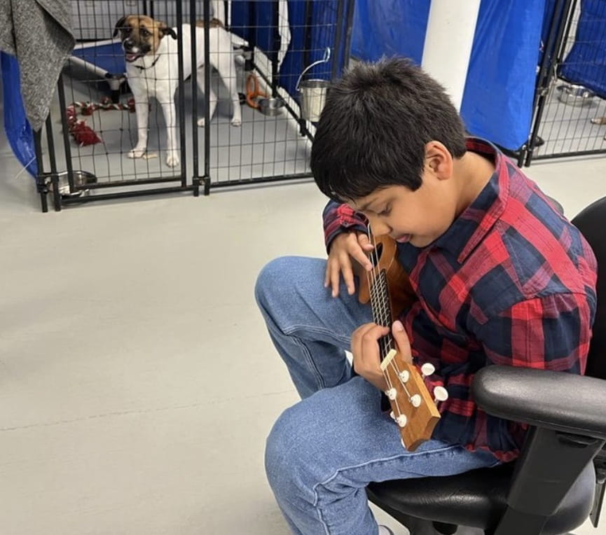 Fifth Grader plays piano to soothe homeless dogs at local rescue - Wild Tunes - Yuvi