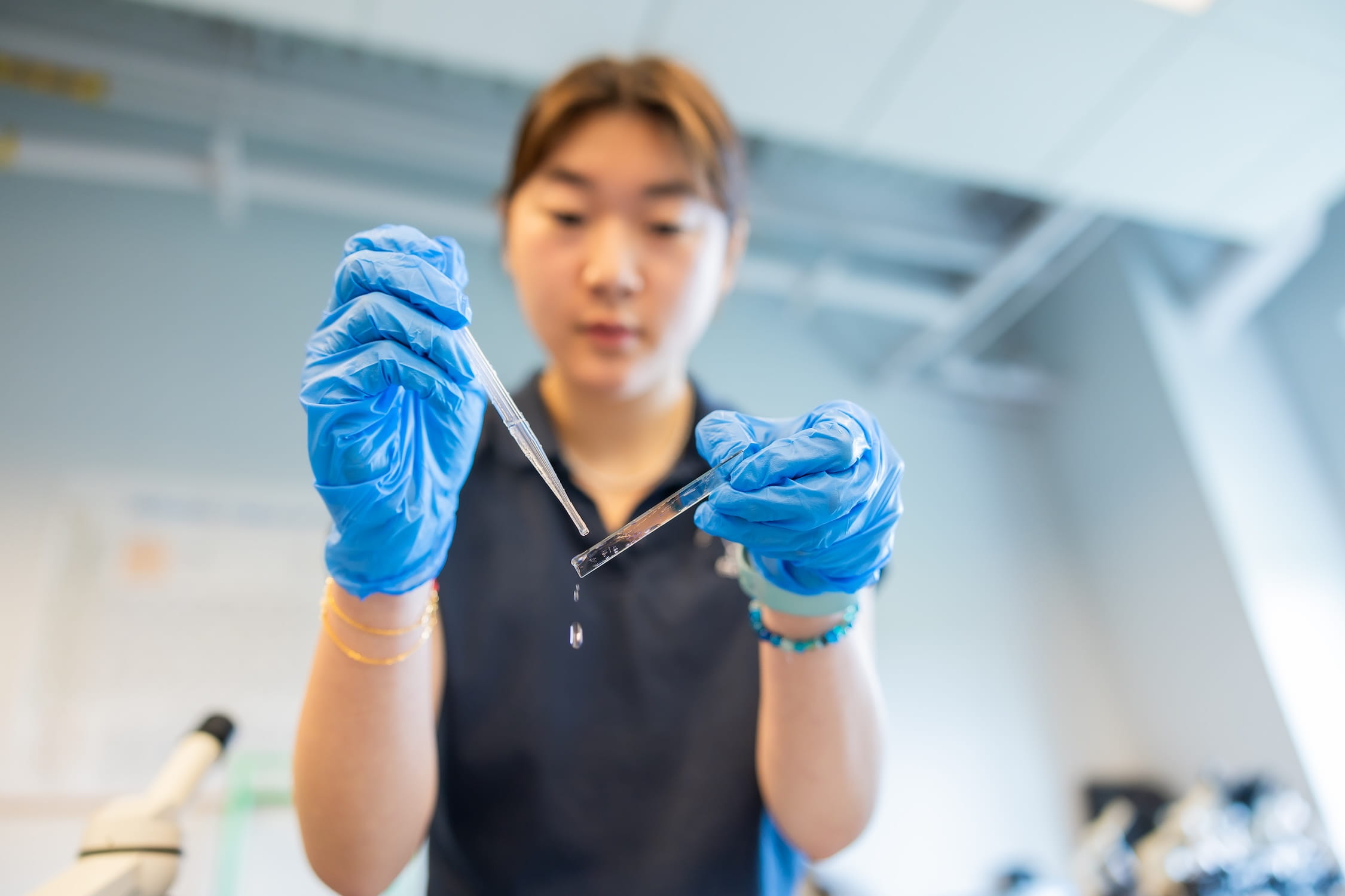 Switch - Visual Time Line - US schools