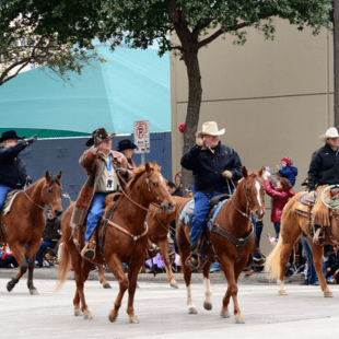 Houston Rodeo
