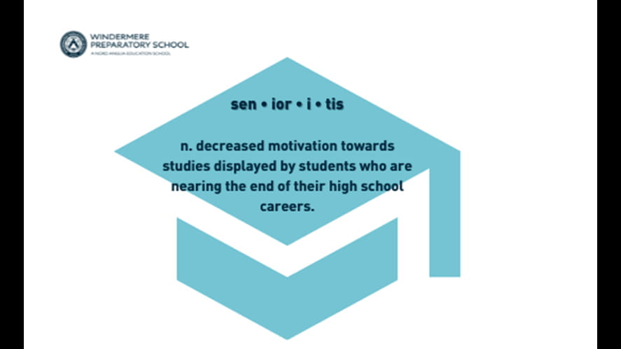 BLOG Page Image sen ior i tis