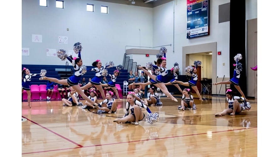 JV & Varsity Lakerettes, Lake Prep Band & Windermere Singers all Perform for the 9th Annual Dig Pink 2019-jv-and-varsity-lakerettes-lake-prep-band-Lakerette Event