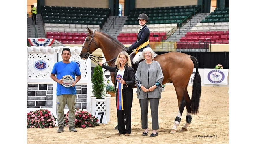 HS Horse