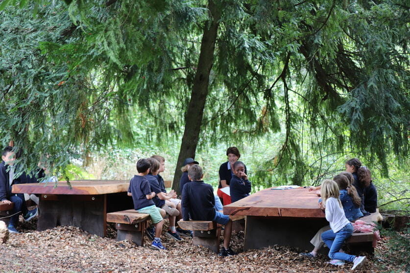 Student sitting at benches in a forest setting